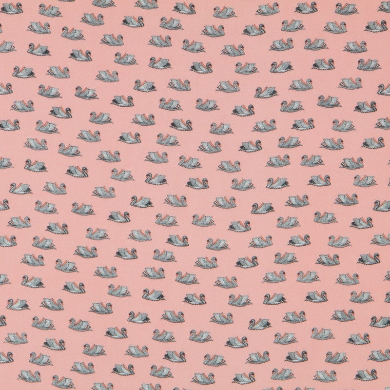 Viscosa Cisnes Salmón - Ribes y Casals