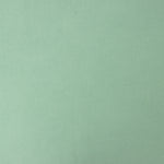 Viscosa Liso Verde Menta - Ribes y Casals
