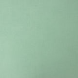 Viscosa Liso Verde Menta - Ribes y Casals