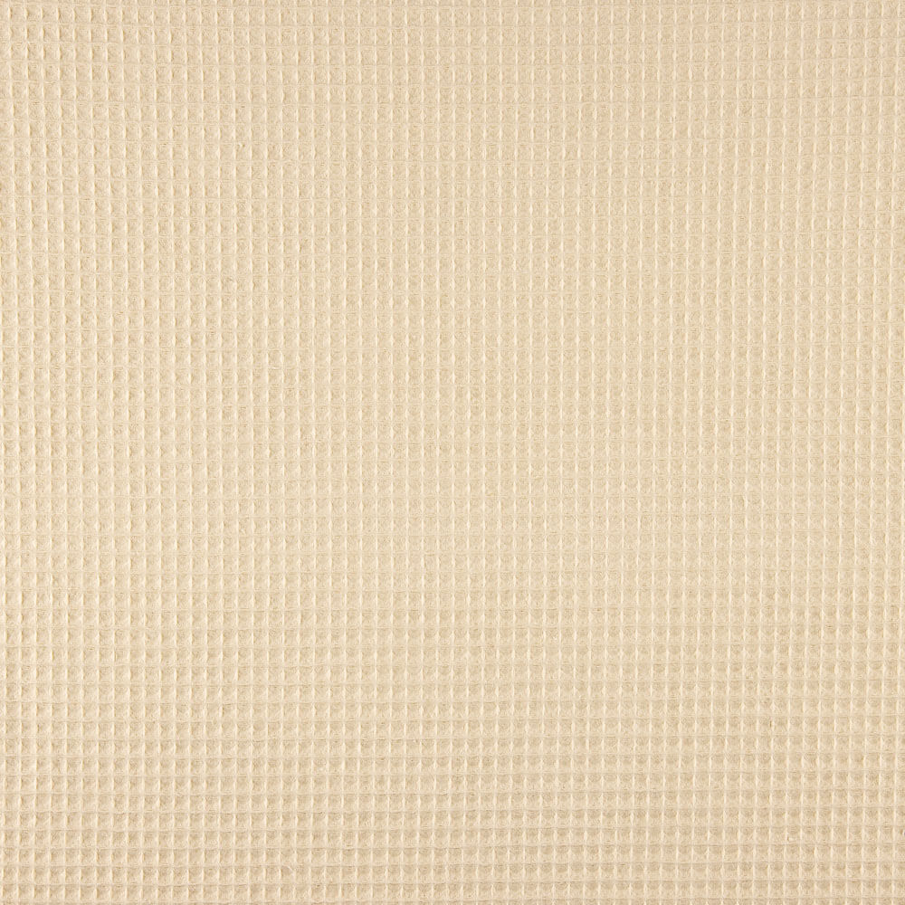 Waffle Arena - Ribes y Casals